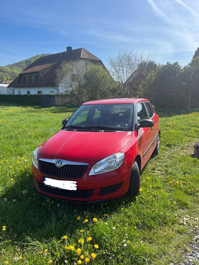 Skoda Fabia Special